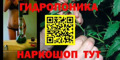 дурь Будённовск