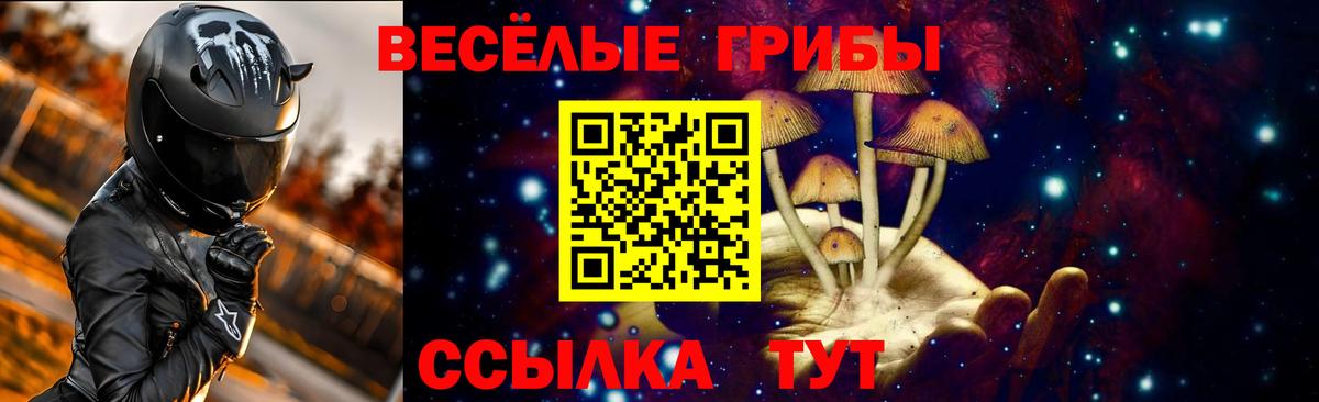 Миасс  Псилоцибиновые грибы мицелий  Галлюциногенные грибы Psilocybine cubensis  Вход с VPN 